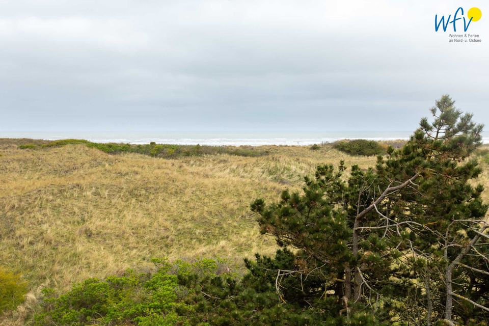 Landschaft – Zimmer 24